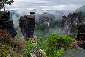 Gymnosperm Prints: View over sandstone rock formations under low cloud with Scots pine (Pinus sylvestris) and Heather (Calluna vulgaris)