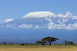 Tanzania Prints: View across the savanna to Mount Kilimanjaro