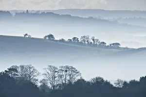 Images Dated 2011 October: 