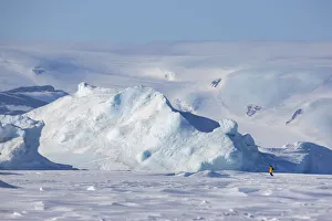 Tourists Prints: View of tourist walking near Emperor penguin colony at Snow Hill Island rookery