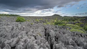 Limestone Prints: View over Tsingy de Bena Vony karst plateau, Ankarana National Park, Madagascar. May, 2023