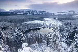 View over Uath Lochans before sunrise following heavy snowfall, Cairngorms National Park