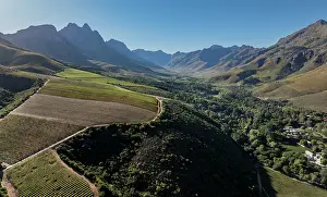 Business Prints: View across vineyard in the Jonkershoek valley