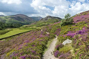 Path Prints: View west from path on Conwy Mountain with Alltwen Mountain on the right and Foel