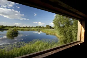 Fenland Prints: View through window of birdwatching hide, Woodwalton Fen National Nature Reserve