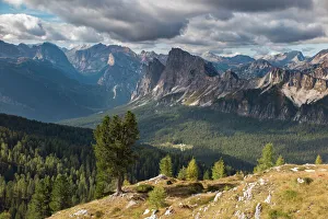 Italy Prints: Views over Cristallo and the Dolomite Mountains from Ciadin del Luodo, Belluno Province