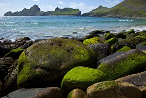 Images Dated 26th May 2009: Village Bay coast, St. Kilda, Outer Hebrides, Scotland, UK, June 2009