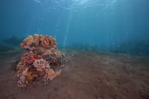 Volcano Prints: Volcanic gas bubbling out of the sandy ocean floor