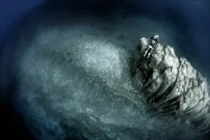 Rock Prints: Volcanic underwater beds, showing the top of an underwater mountain formed by basaltic columns (columnar disjunction)