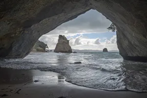 October 2021 Highlights Prints: Waikato, North Island, New Zealand, July 2019