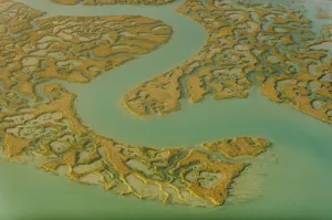 Images Dated 15th March 2012: Water channels making patterns in saltmarsh, seen from the air. Abbotts Hall Farm