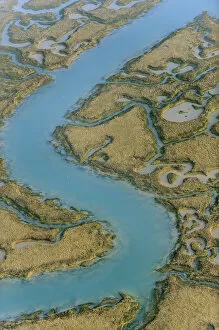 Images Dated 15th March 2012: Water channels making patterns in saltmarsh, seen from the air. Abbotts Hall Farm
