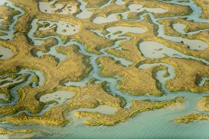 Images Dated 15th March 2012: Water channels making patterns in saltmarsh, seen from the air. Abbotts Hall Farm