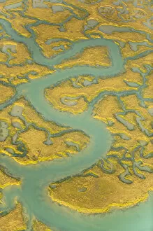 Water channels making patterns in saltmarsh, seen from the air. Abbotts Hall Farm