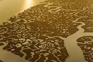 Images Dated 15th March 2012: Water channels making patterns in saltmarsh, seen from the air. Abbotts Hall Farm