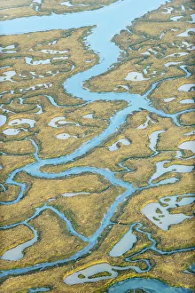 Images Dated 15th March 2012: Water channels making patterns in saltmarsh, seen from the air. Abbotts Hall Farm
