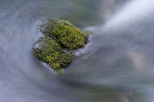 Images Dated 7th October 2008: Water flowing round moss covered stones in the Crna Rijeka, Black river springs