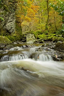 Images Dated 28th February 2012: Water running over rocks, Lodore Falls, with autumnal trees in the background, Lake District