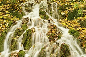 Water running through the woods around Gradinsko Lake, Upper Lakes, Plitvice Lakes National Park