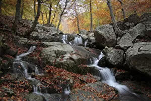 Images Dated 22nd April 2008: Waterfall in autumnal beechwood in Montseny Natural Park, Barcelona, Spain