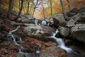 Waterfalls Prints: Waterfall in autumnal beechwood in Montseny Natural Park, Barcelona, Spain