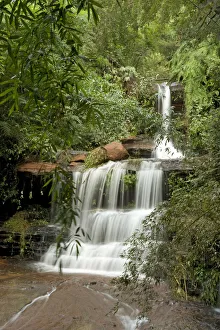 Sichuan Bamboo Sea Prints: Waterfall cascading over red sandstone rock following overnight storm. Carefree Valley
