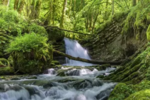 France Prints: Waterfall on Guiers vif river, Hauts de Chartreuse National Nature Reserve