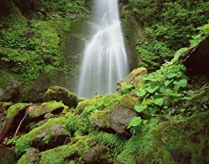 Waterfalls Prints: Waterfall, Mtirala National Park, Georgia, May 2008
