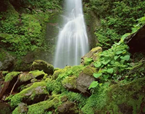 Images Dated 3rd November 2009: Waterfall, Mtirala National Park, Georgia, May 2008