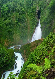 Verdant Prints: Waterfall in tropical, humid forest, Finca Sacmoc, Alta Verapaz, Guatemala. May, 2023