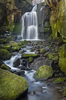 Waterfalls Collection: Waterfall tumbling over moss-covered boulders at Lumsdale, Derbyshire, UK, January 2012
