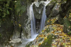 Waterfalls Prints: Waterfall, Valea Prapastiilor, Piatra Craiului National Park, Transylvania, Southern