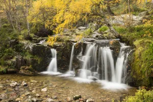 Waterfall on wooded hillside in autumn, Glenfeshie, Cairngorms National Park, Scotland