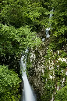 Images Dated 21st June 2009: Waterfalls on the River Lepenjica, Triglav National Park, Slovenia, June 2009