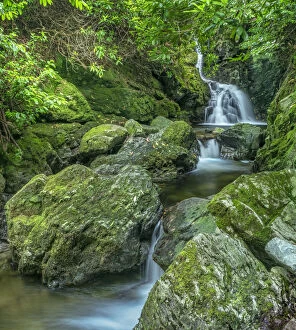 Waterfalls on Sprinkwee / Cascade River flowing amongst rocks in woodland