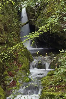 Waterfalls, Tangjiahe National Nature Reserve, Qingchuan County, Sichuan province, China