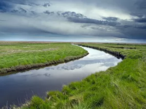 Waterway through marshland, Dingle Nature Reserve, Dunwich, Suffolk, UK. May, 2021
