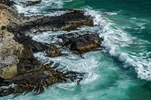 Seaweed Prints: Waves crashing against a kelp covered rocky shoreline