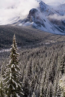 Alberta Gallery: Wenkchemna Peaks or Ten Peaks rising over Moraine lake in the snow, near Lake Louise
