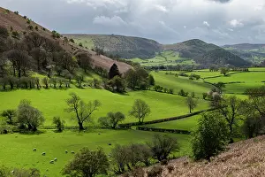 Valleys Prints: The west slope of Bradnor Hill