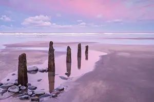 Devon Prints: Westward Ho! beach at sunrise, low tide with old wooden groynes exposed