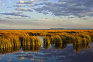 Wetlands Prints: Wetland in central Oregons Malheur National Wildlife Refuge, Malheur County, Oregon