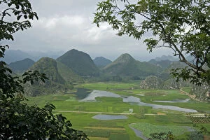 Wetland with cultivated areas of rice, Sacred lotus (Nelumbo nucifera) and other crops