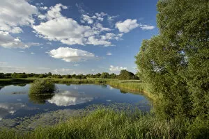 Wetland landscape, Woodwalton Fen National Nature Reserve, Cambridgeshire, England, UK