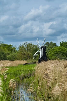 Poales Collection: Wicken Fen wetlands with windmill water pump and Phragmites reeds, Cambridgeshire, England, May