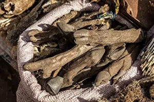 Culture Prints: Wildlife remains for sale for traditional beliefs in Bamako market, Mali. October, 2017