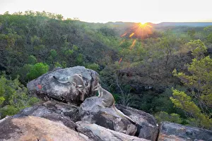 Light Ray Prints: Two Wilkins rock wallabies (Petrogale wilkinsi) climbing over rocky outcrop above gorge at sunrise