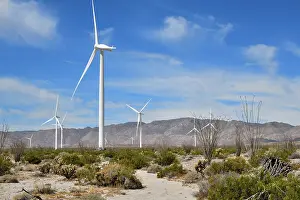Environmental Issues Prints: Wind turbines in the desert, near Ocoitillo, California, USA. June, 2023