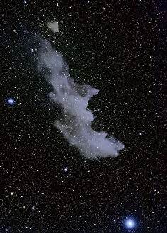 Images Dated 23rd March 2017: The Witch Head Nebula, IC 2118. If you reverse the image 180 degrees, you can readily