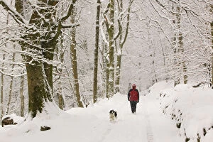 Women walking the dog in heavy snow near Ambleside, England, UK. March 2006